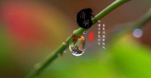55acc1cf5794e241.jpg