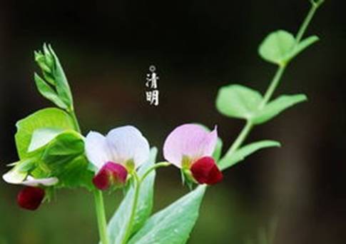 91caa2d1ad98abfe.jpg